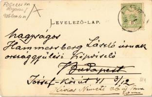 Alsószombatfalva, Sambata de Jos; Brukenthal-kastély lovasokkal. Helios fényképészeti műterem / cast...