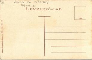 Apahida, Bruckendorf; Községháza. maksay fényképésztől / town hall