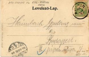 1904 Apatin, Corso, Gasz Mátyás papíráruháza és saját kiadása / street view with paper shop