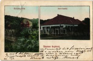 1911 Barátka, , Brátka, Bratca; Szolcsányi Villa, Stern kastély / villa and castle (EK)