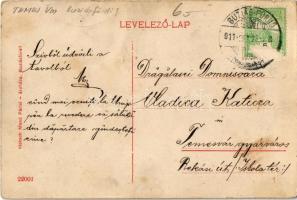 1911 Buziásfürdő, Baia Buzias; Phönix fürdő. Heksch Manó Párisi áruháza kiadása / spa  (Rb)