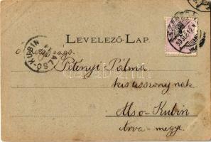 1899 Szeged, Széchenyi tér, Híd utca, városháza, színház. Art Nouveau, floral (EK)