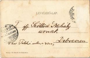 1908 Érmihályfalva, Valea lui Mihai; Fő utca, Rosenfeld Lajos üzlete. Zih Rezső kiadása / main stree...