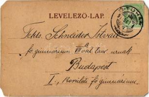 Zernest, Zernyest, Zarnesti; Propasta kezdete, Román iskola, Blosz M. üzlete / Prapastiile Zarnestil...