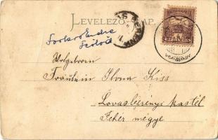 1900 Léka, Lockenhaus; templom / Kirche / church (fa)