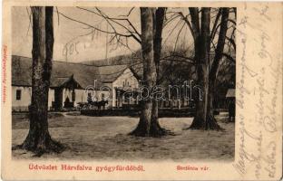 1905 Hársfalva-gyógyfürdő (Szolyva), Nelipino, Nelipyno; Stefánia vár, lovashintó / castle, horse chariot