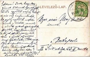 1908 Szováta-fürdő, Baile Sovata; Sándor János és Phleps villák. Szovátai fényképész kiadása / villa...