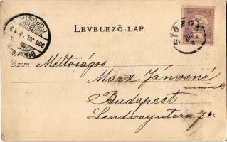 1900 Siófok, Villa telep. Divald Károly 208