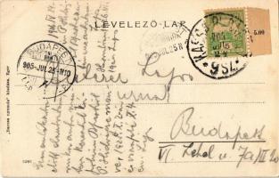 1905 Kápolna, 1848-as forradalom és szabadságharc honvéd emlékműve (1880-ban emelték)