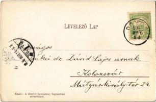 1906 Dömös, Kilátás Zebegény felé, hajó (EK)