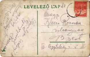 Gyöngyös, Westphalen grófné sz. Auersperg hercegnő kastélya, utcaseprő (fa)