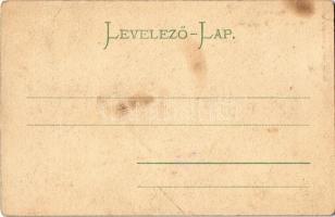 Resica, Resita; Fő utca, háttérben a vasgyár, montázslap. Braunmüller L. kiadása / main street with ...