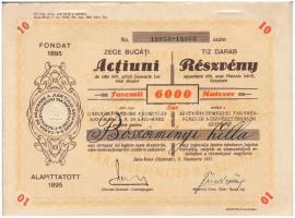 Románia / Satu-Mare (Szatmár) 1927. Szatmárvármegyei Takarékpénztár Részvénytársaság névre szóló 10db részvénye egyben, összesen 6000L-ről (2x) sorszámkövetők, szelvényekkel, szárazpecséttel T:II