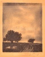 Franz Abony (?-?): Tájkép fával, rézkarc, papír, jelzett, paszpartuban, üvegezett fa keretben, 22,5×17,5 cm