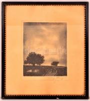 Franz Abony (?-?): Tájkép fával, rézkarc, papír, jelzett, paszpartuban, üvegezett fa keretben, 22,5×...