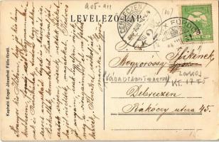 1908 Félixfürdő, Baile Felix; Ferenc-fürdő és park / spa nad park, wooden bridge