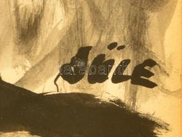 Süle István (1937-1996): Női portré. Tus, papír, jelzett, üvegezett keretben, 30×21 cm