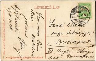 1911 Dicsőszentmárton, Tarnaveni, Diciosanmartin; Gázgyár és környéke, zsinagóga / gas factory, syna...