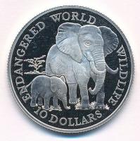 Cook-szigetek 1990. 10$ Ag Afrikai elefánt T:PP ujjlenyomat, felületi karcok Cook Islands 1990. 10 Dollars African elephant C:PP fingerprint, surface scratches Krause KM#80