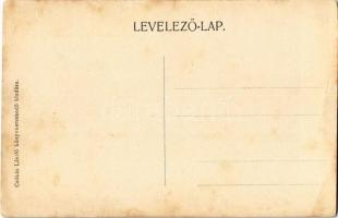 Nagykároly, Carei; Gróf Károlyi kastély belső, adrium / castle interior, hall