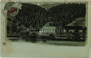 10 db régi horvát és olasz városképes lap az Adria térségéből / 10 pre-1945 Croatian and Italian tow...