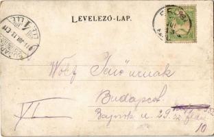 1903 Ercsi, Eötvös emlékszobor, Fő utca, este. A. Schwidernoch, Art Nouveau, floral (EK)