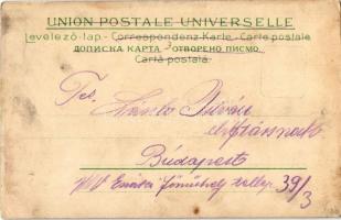 "Deák Ferencz" (később Dunagyöngye) gőz. kerekes személyhajó (termes gőzös) a Vaskapu csat...