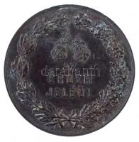 1890. "Az érdem jeléül / Alföldi és Délmagyarországi Általános Kiállítás Aradon" Br emléké...