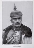 Sven Hedin: Ein volk in Waffen. Leipzig, 1915, F. A. Brockhaus. Fekete-fehér fotókkal, térképpel ill...