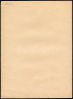 cca 1940 Hölgy macskával és két kutyával a Tátrában, fotó, hátulján feliratozva, 24×18 cm