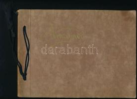 1933-1934 Családi képek, fotólapok albumba ragasztva, közte vadászat, tenisz, kirándulások, stb., fo...