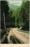 1908 Alsóhámor, Dolné Hámre (Hodrushámor, Hodrusa-Hámre); Hodrusi út. Joerges kiadása / road (EK)
