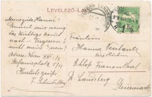 1908 Székesfehérvár, Ligetsor, Erzsébet Amália főhercegnő otthon, babakocsi  (kissé ázott / sligthy ...