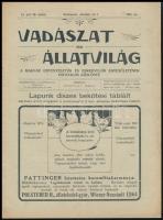 1911 A Vadászat és Állatvilág, a Magyar Ebtenyésztők és Ebkedvelők Egyesületének hivatalos közlönye XI. évfolyam 19. szám