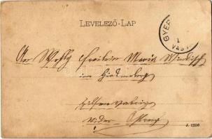 ~1899 Gyepűfüzes, Gyepű-Füzes, Gornji Fides, Kohfidisch; Gróf Erdődy kastély fő és déli oldal. Wagne...