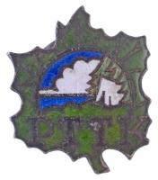 Lengyelország DN PTTK zománcozott fém túrajelvény (20x25mm) T:2 Poland ND PTTK enamelled metal tour badge (20x25mm) C:XF