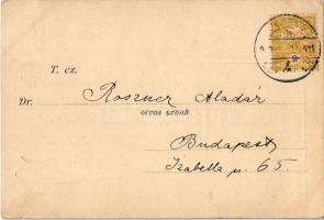 ~1900 Syr. Hypophosphit. Co. / Dr. Egger Leó és Egger Izidor gyógyszerészek köhögés elleni szirupján...