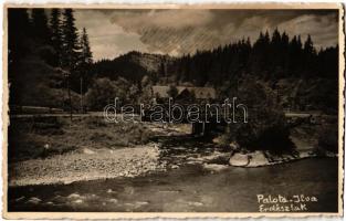 17 db régi erdélyi városképes lap, közte néhány fotó / 17 pre-1945 Transylvanian town-view postcards...