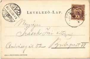 1901 Fonyód-fürdőtelep, Társasági kabin a Balatonban (EK)