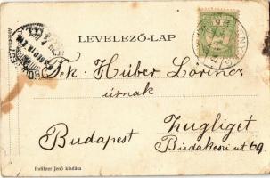 1905 Enying, vasútállomás, gőzmozdony. Politzer Jenő kiadása  (EK)