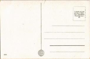 Sátoraljaújhely, Részletek a trianoni magyar határról (kis szakadás / small tear)