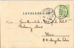 1900 Vép (Vas megye), Gróf Erdődy Sándor kastély, vár