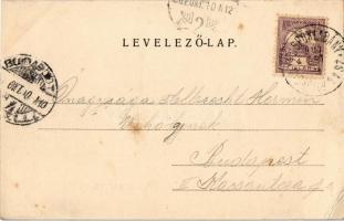 1900 Nyíregyháza, Sóstófürdő. Kiadja Piringer János (EK)