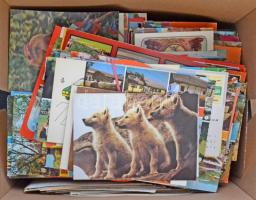 Több mint 1.000 darabos képeslapgyűjtemény amatőr gyűjtésből: magyar és külföldi városképek, motívumok. Mind használatlan, jó minőségű szép anyag sok érdekességgel!