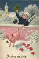 New Year, pig, mushroom, chimney-sweep