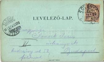 1900 Krasznahorkaváralja, Krásnohorské Podhradie; vár. Sajó Vidék kiadása / Hrad Krásna Horka / cast...