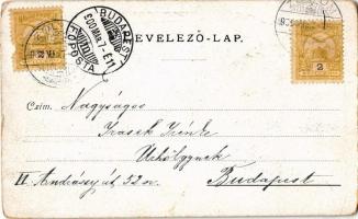 1900 Zólyom, Zvolen; Heti vásár, Fő tér, Steiner Lajos és Lőwy Miksa üzlete / weekly market, main sq...