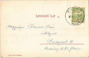 1905 Rimaszombat, Rimavská Sobota; Gömör megyei közkórház, M. kir. állami gyermekmenhely / hospital ...