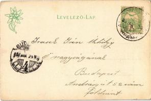 1902 Alsótátrafüred, Unter-Schmecks, Dolny Smokovec (Magas-Tátra, Vysoké Tatry); Karácsonyi nyaraló....