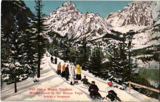 Tátra, Magas-Tátra, Vysoké Tatry; Téli élet, Indulás a Tarajkáról, szánkózók / winter sport in Hrebienok, sledding start  (fl)